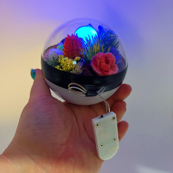 LIGHT UP Piplup Pokeball Terrarium