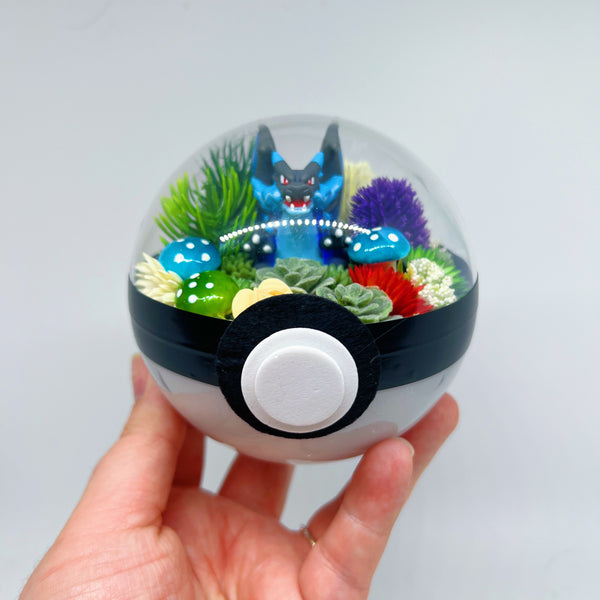 LIGHT UP Mega Charizard X Pokeball Terrarium