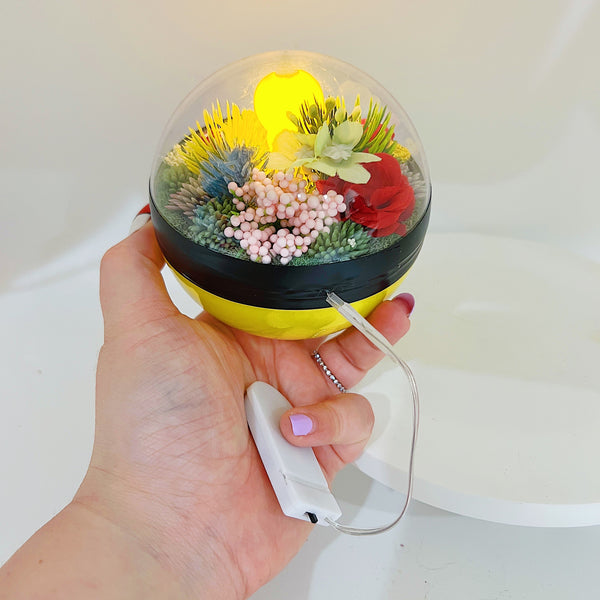 LIGHT UP Weedle Pokeball
