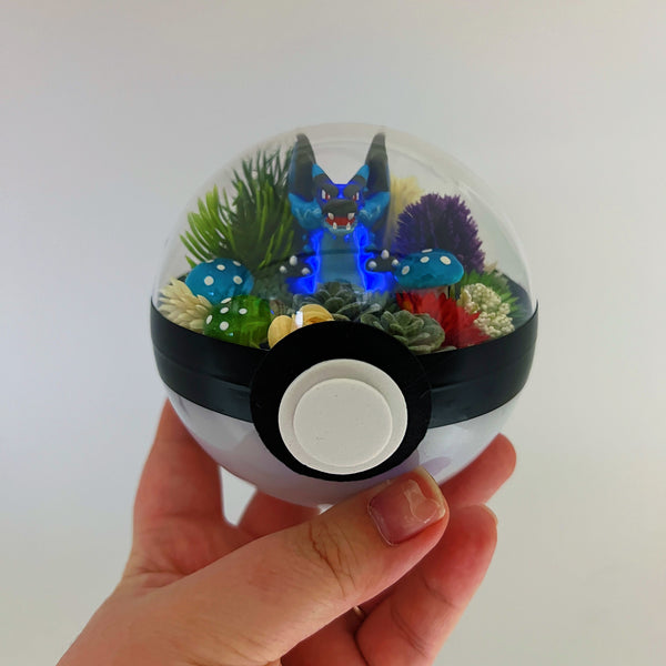 LIGHT UP Mega Charizard X Pokeball Terrarium