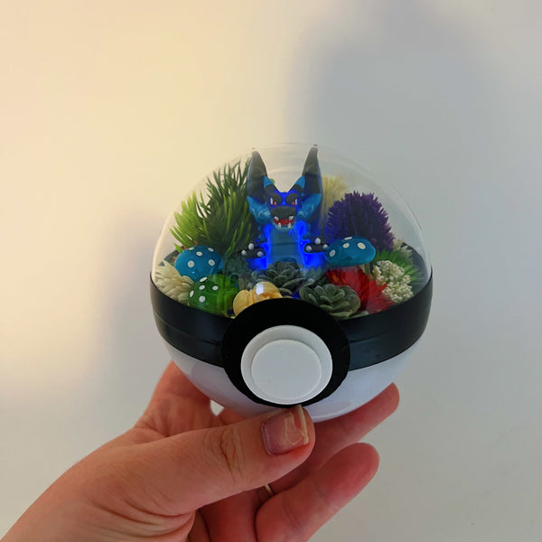 LIGHT UP Mega Charizard X Pokeball Terrarium