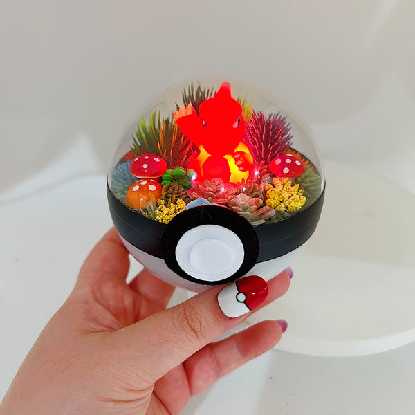 LIGHT UP Charmeleon Pokeball