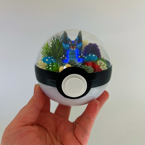 LIGHT UP Mega Charizard X Pokeball Terrarium