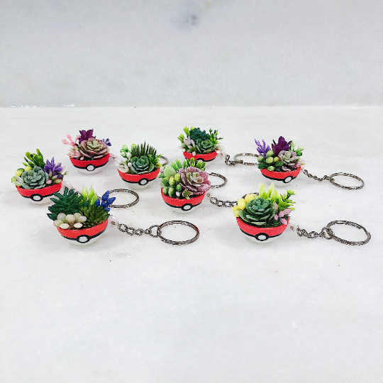Random Assorted Pokeball Terrarium Keychain