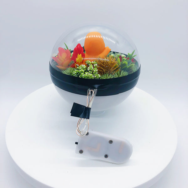 Charmander Light-Up Pokeball Terrarium
