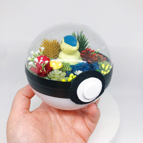 LIGHT UP Cyndaquil Pokeball Terrarium