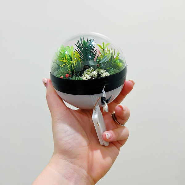 LIGHT UP Chansey Pokeball Terrarium