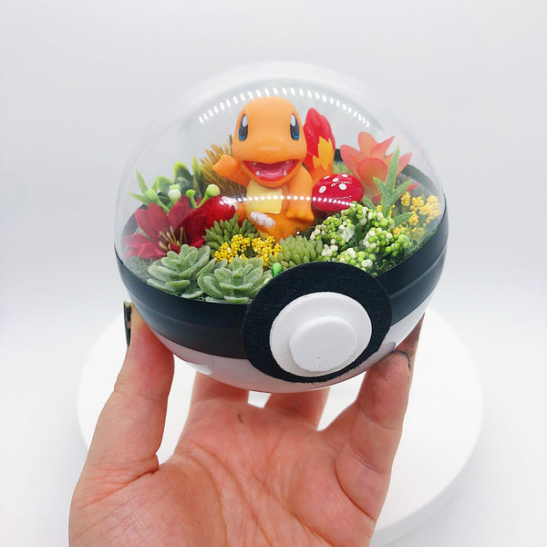 Charmander Light-Up Pokeball Terrarium
