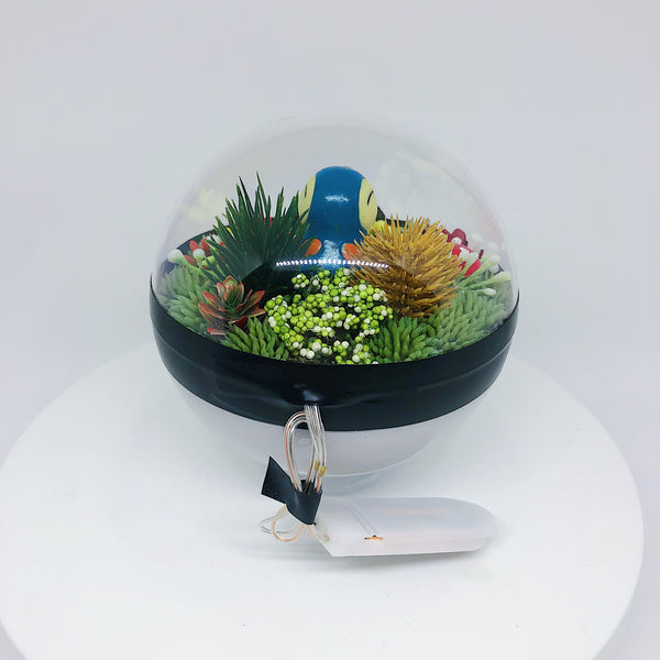 LIGHT UP Cyndaquil Pokeball Terrarium
