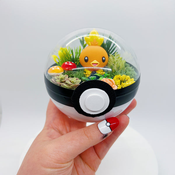 LIGHT UP Torchic Pokeball Terrarium