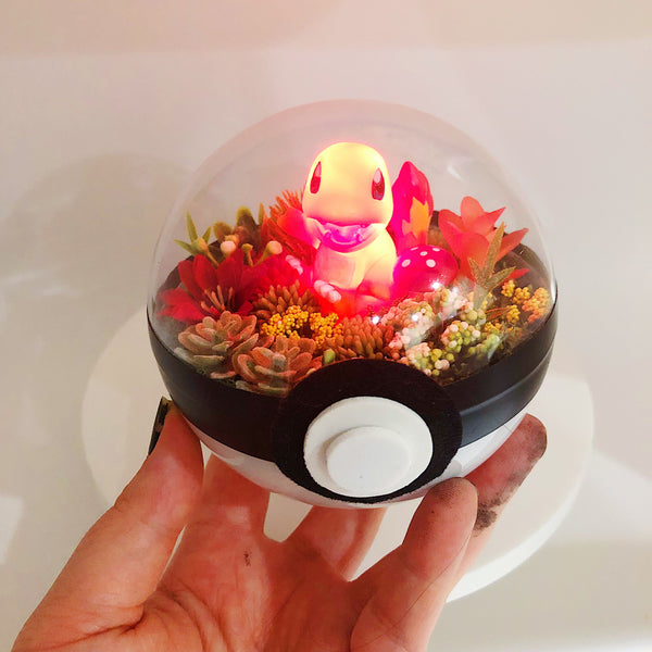 Charmander Light-Up Pokeball Terrarium