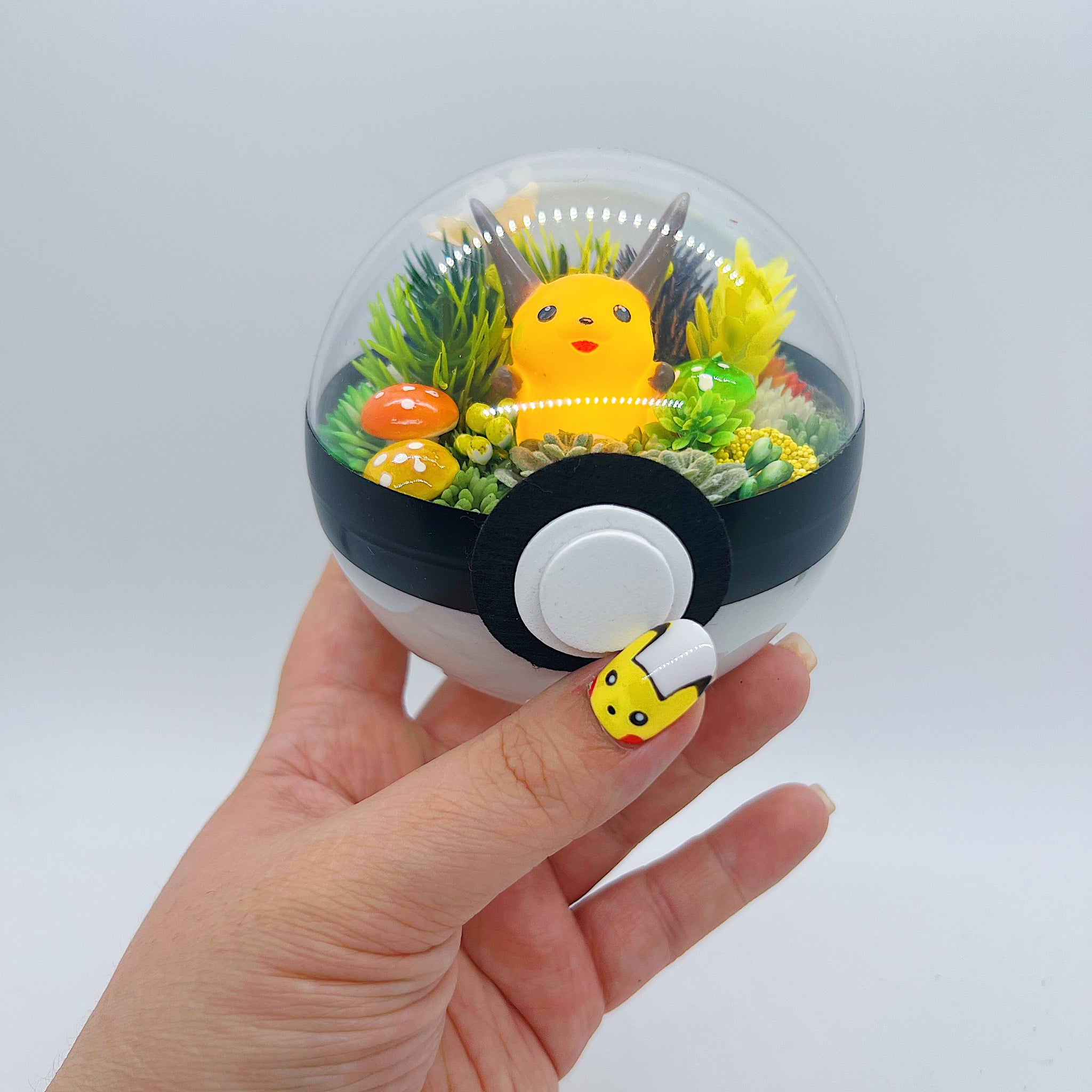 LIGHT UP Raichu Pokeball Terrarium