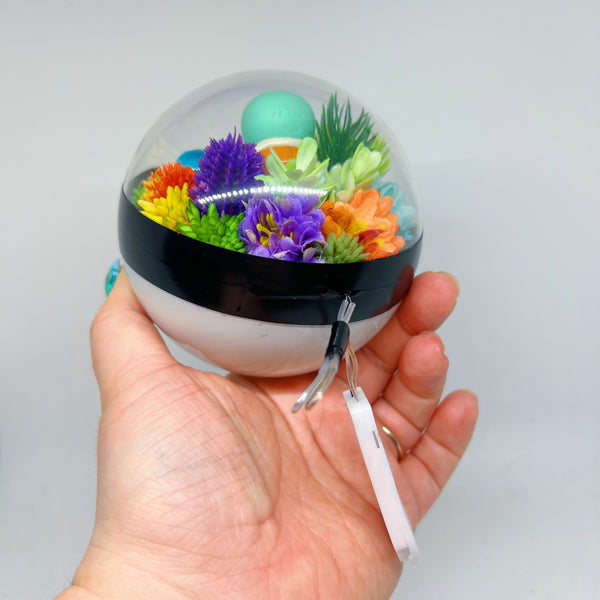 LIGHT UP Squirtle Pokeball Terrarium