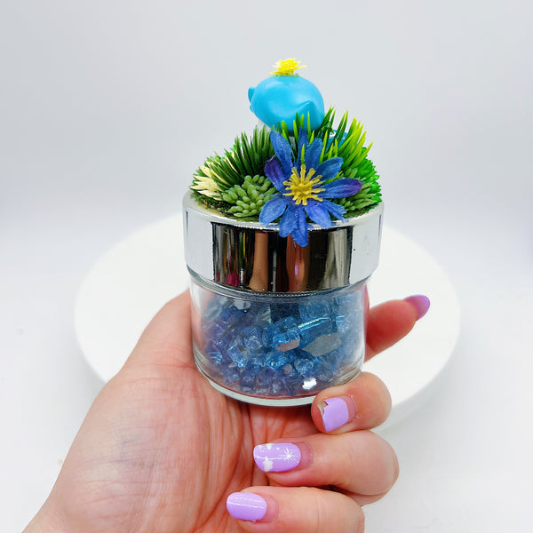 Quaxly Terrarium Jar