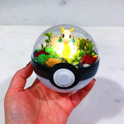 LIGHT UP Dragonite Pokeball Terrarium