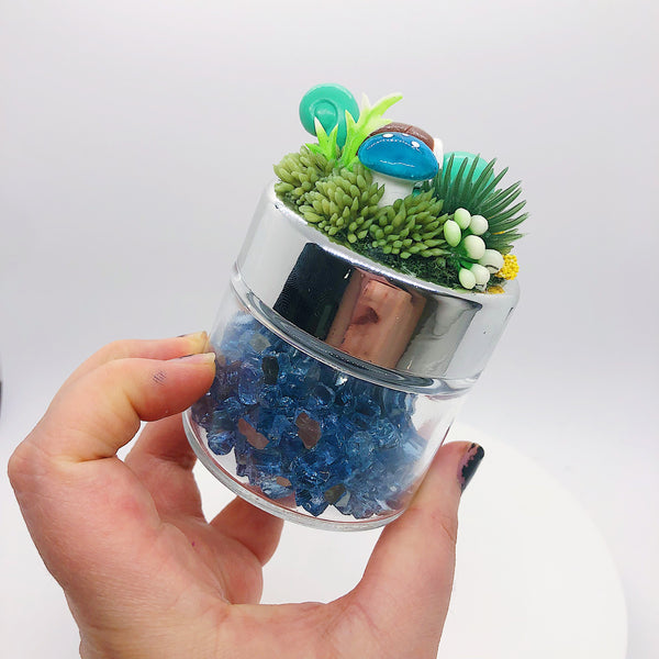 Squirtle Terrarium Jar