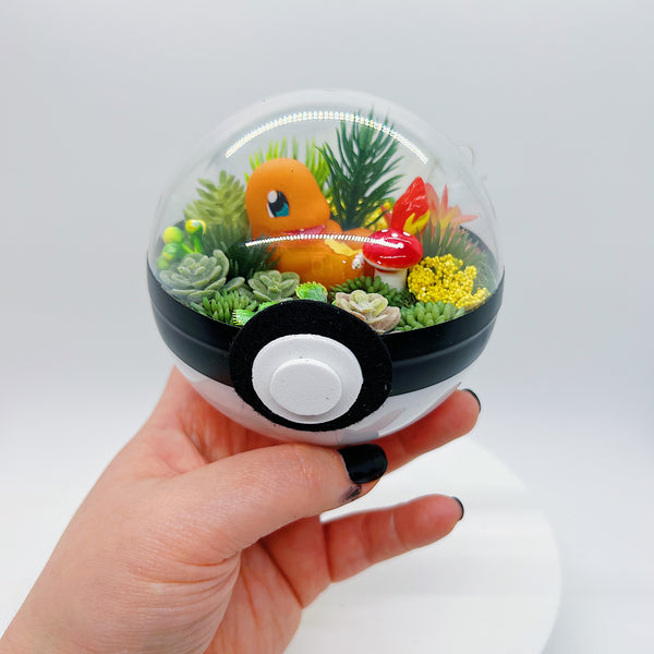 Charmander Light-Up Pokeball Terrarium