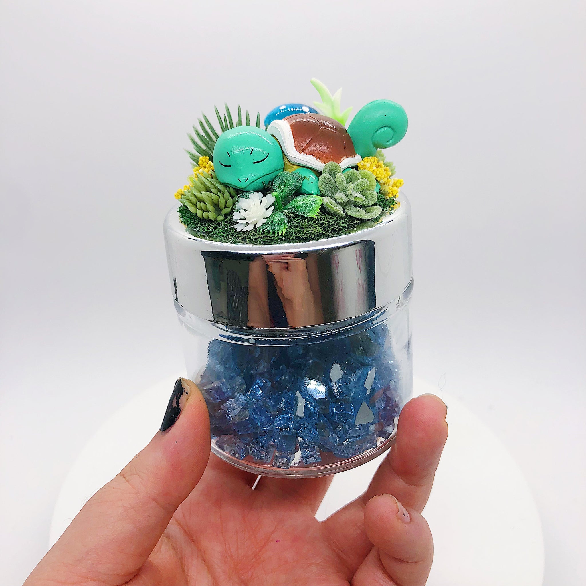Squirtle Terrarium Jar