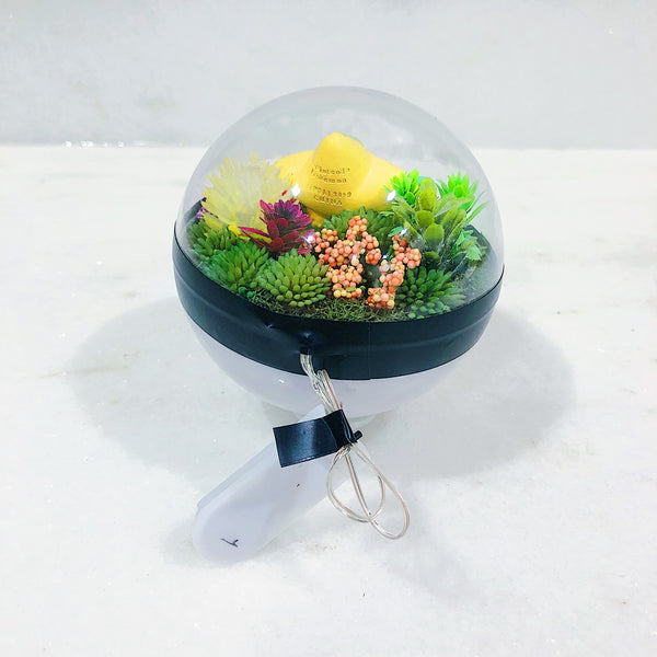 Jirachi Light-Up Pokeball Terrarium